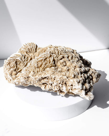 Desert Rose Cluster Healing Crystal