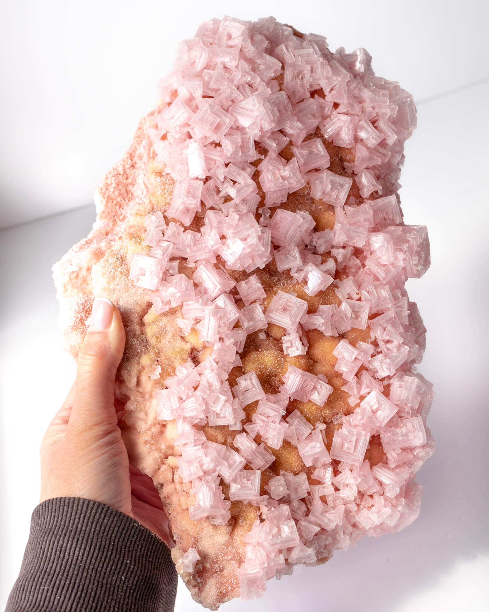 Extra Large Pink Halite Cluster - 370
