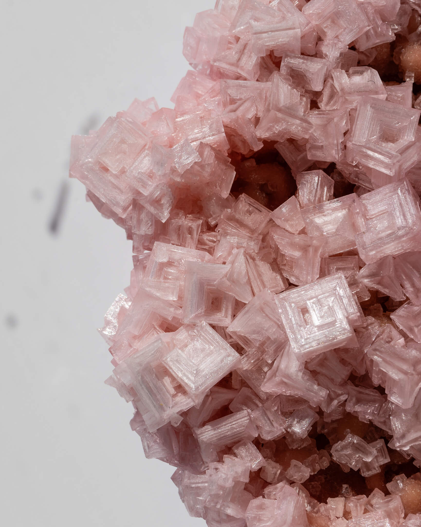 Pink Halite Cluster - 508