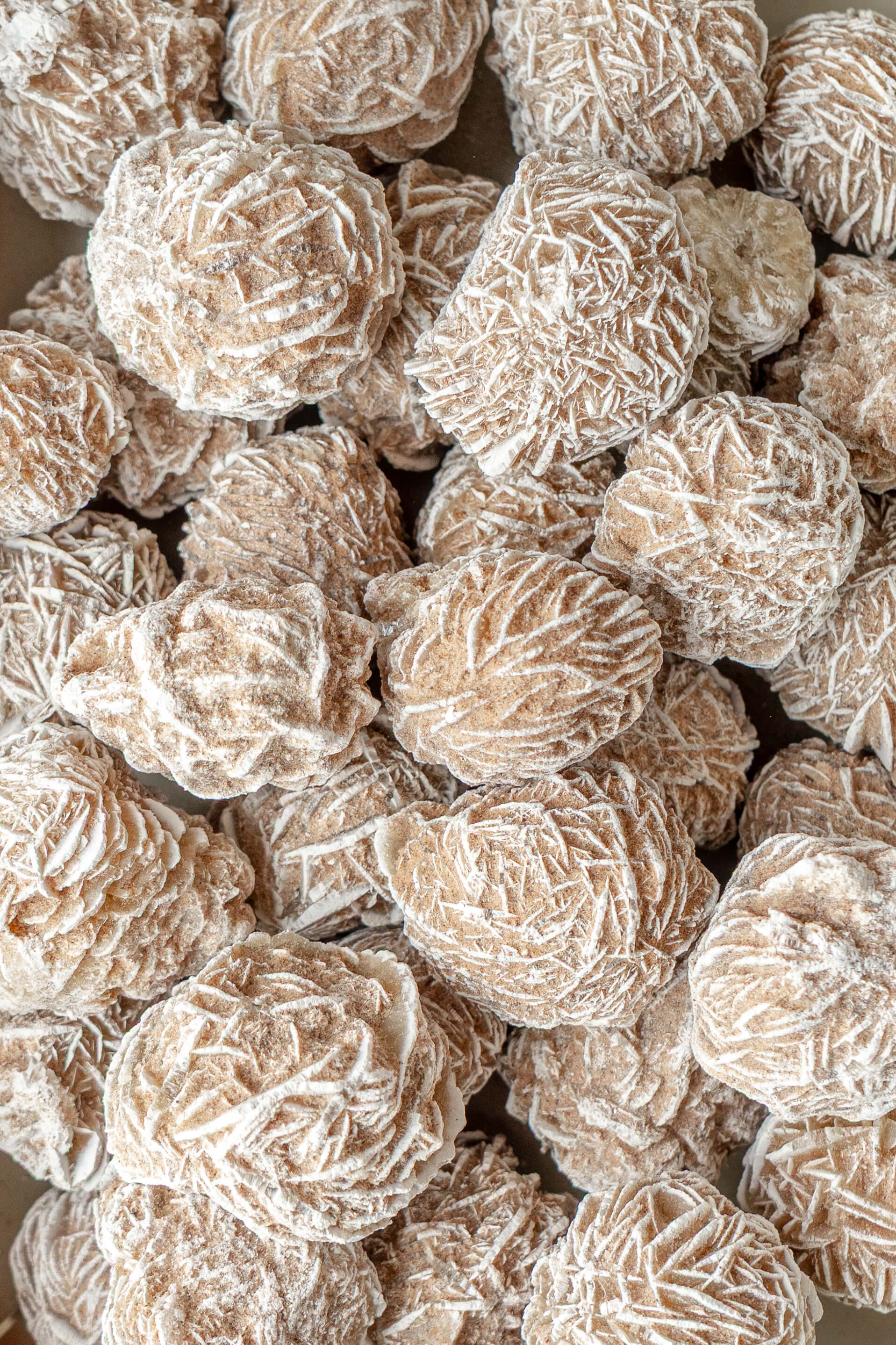 Desert Rose Selenite