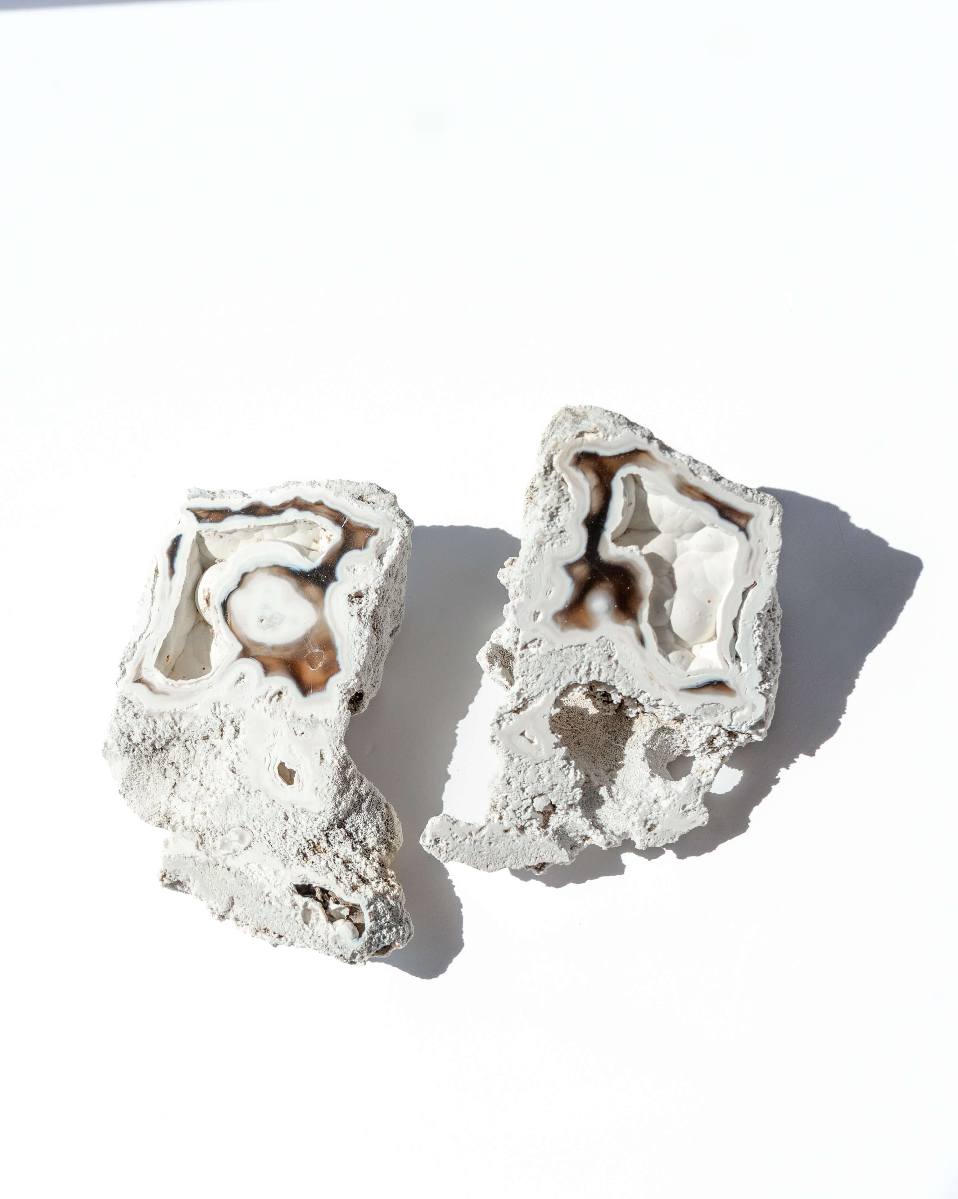 Agatized Coral Geode Pair - 34A