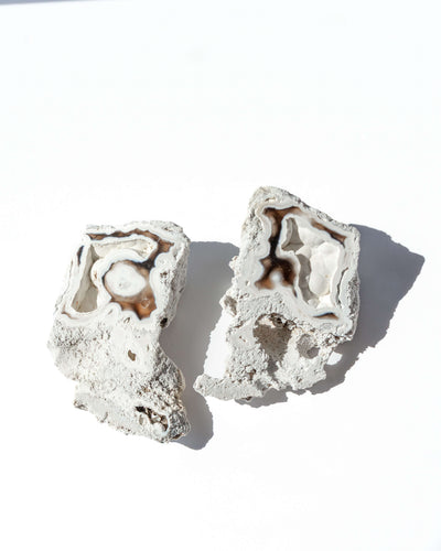 Agatized Coral Geode Pair - 34A