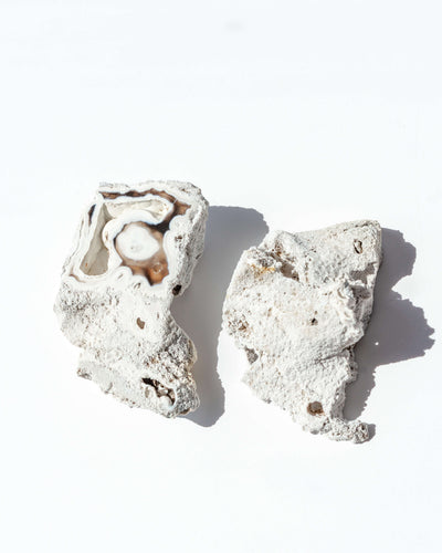 Agatized Coral Geode Pair - 34A