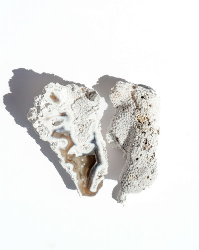 Agatized Coral Geode Pair - 35