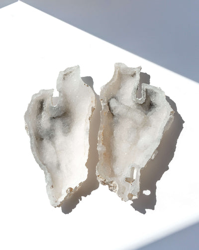 Agatized Coral Geode Pair - 92