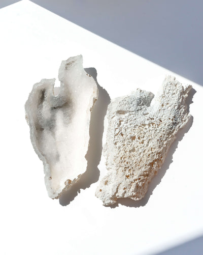Agatized Coral Geode Pair - 92
