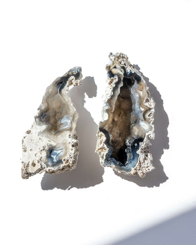 Agatized Coral Geode Pair - 34