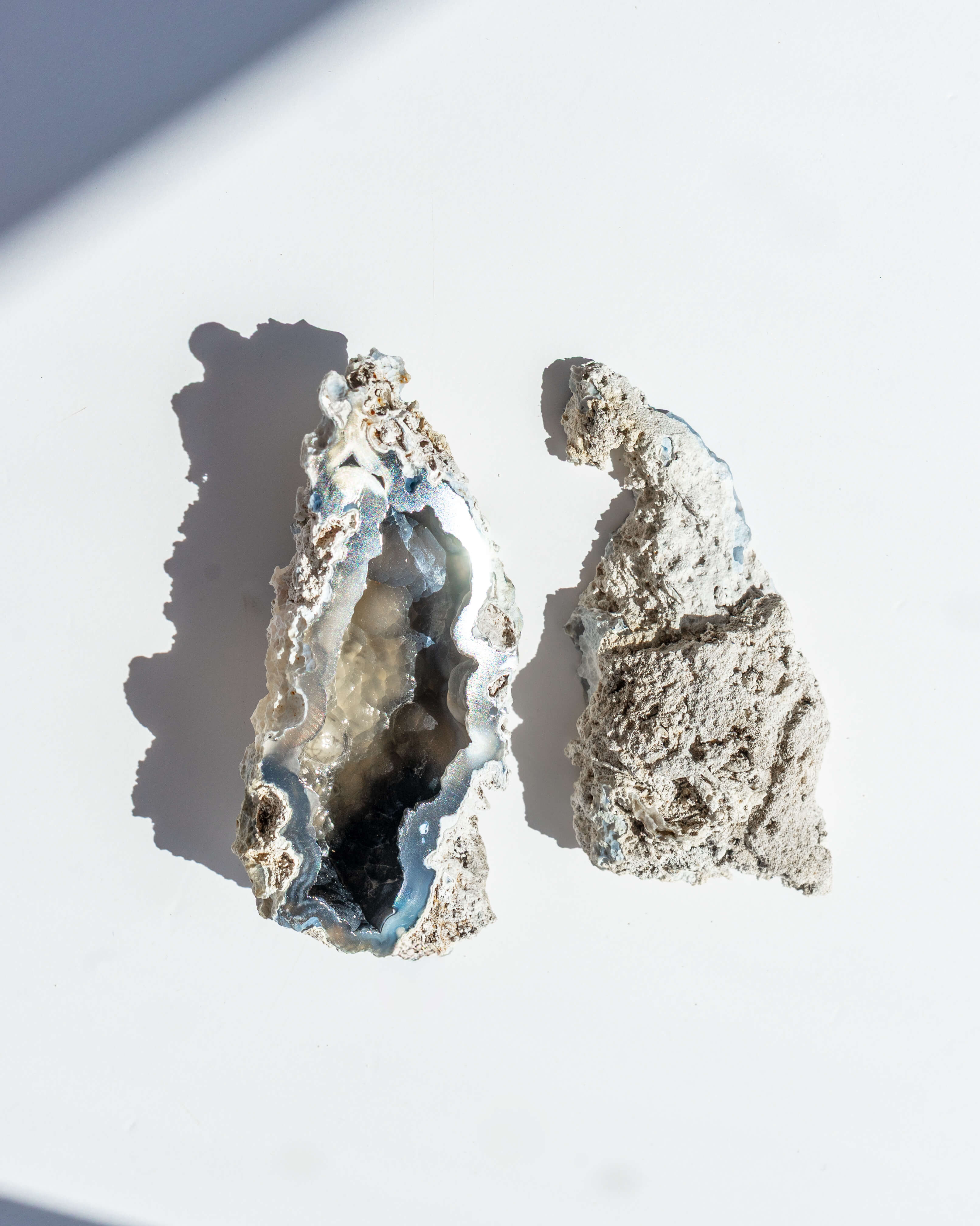 Agatized Coral Geode Pair - 34