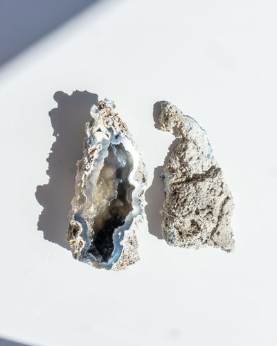 Agatized Coral Geode Pair - 34