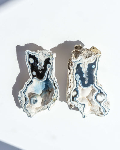 Agatized Coral Geode Pair - 57