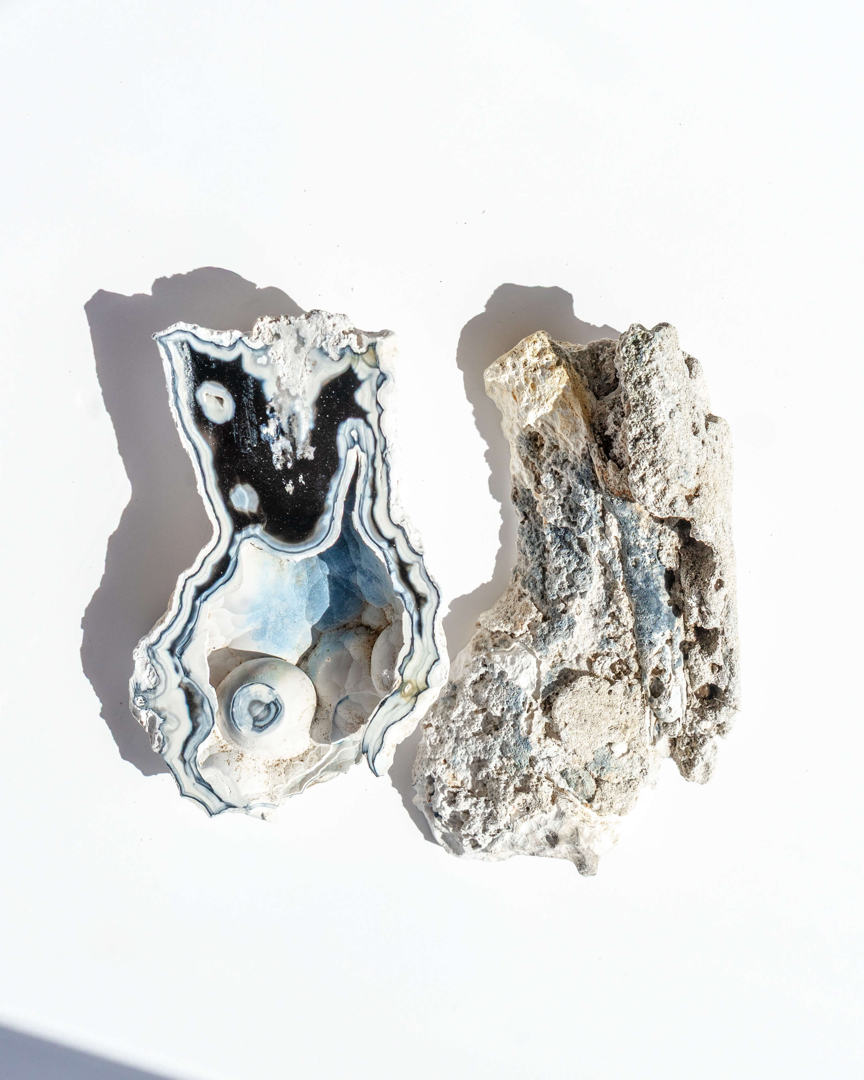 Agatized Coral Geode Pair - 57