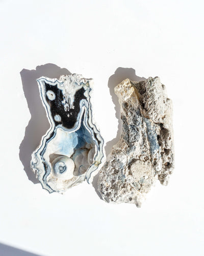 Agatized Coral Geode Pair - 57