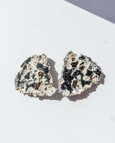 Agatized Coral Geode Pair - 30