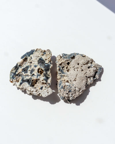Agatized Coral Geode Pair - 30