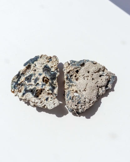 Agatized Coral Geode Pair - 30