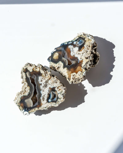Agatized Coral Geode Pair - 88B
