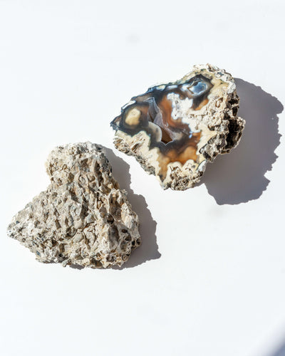 Agatized Coral Geode Pair - 88B