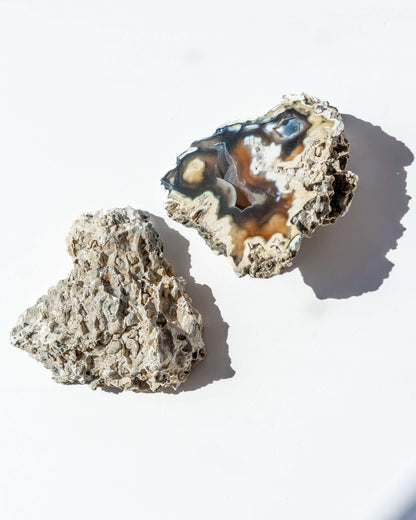 Agatized Coral Geode Pair - 88B