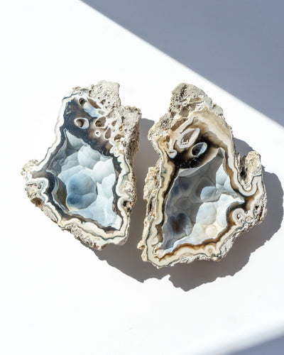 Agatized Coral Geode Pair - 120