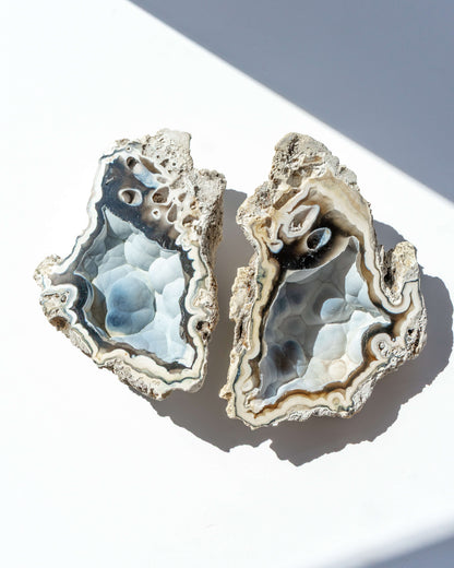 Agatized Coral Geode Pair - 120