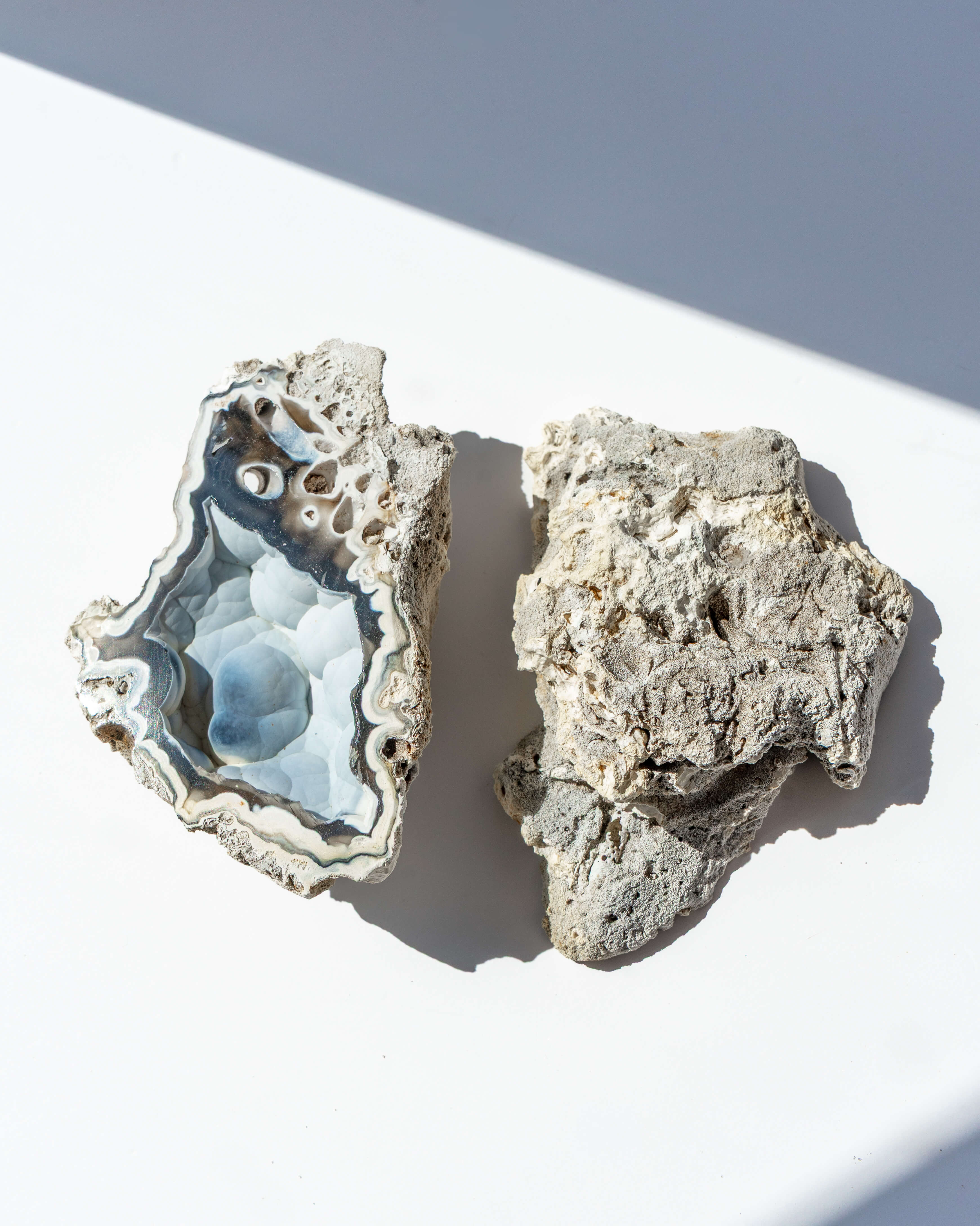 Agatized Coral Geode Pair - 120
