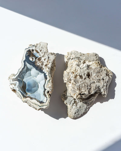 Agatized Coral Geode Pair - 120