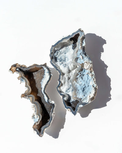 Agatized Coral Geode Pair - 41