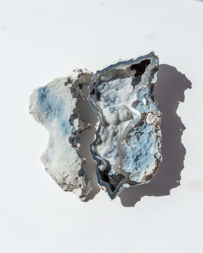 Agatized Coral Geode Pair - 41