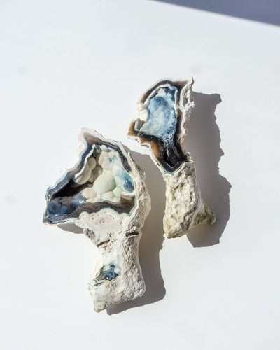 Agatized Coral Geode Pair - 52
