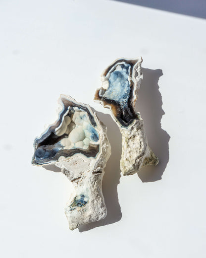 Agatized Coral Geode Pair - 52