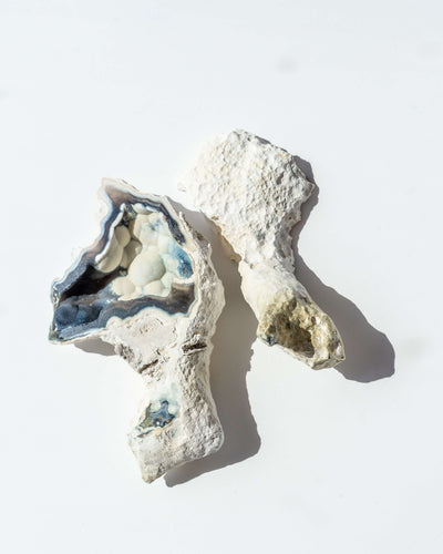 Agatized Coral Geode Pair - 52