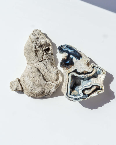 Agatized Coral Geode Pair - 88A