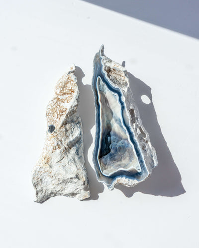 Agatized Coral Geode Pair - 88