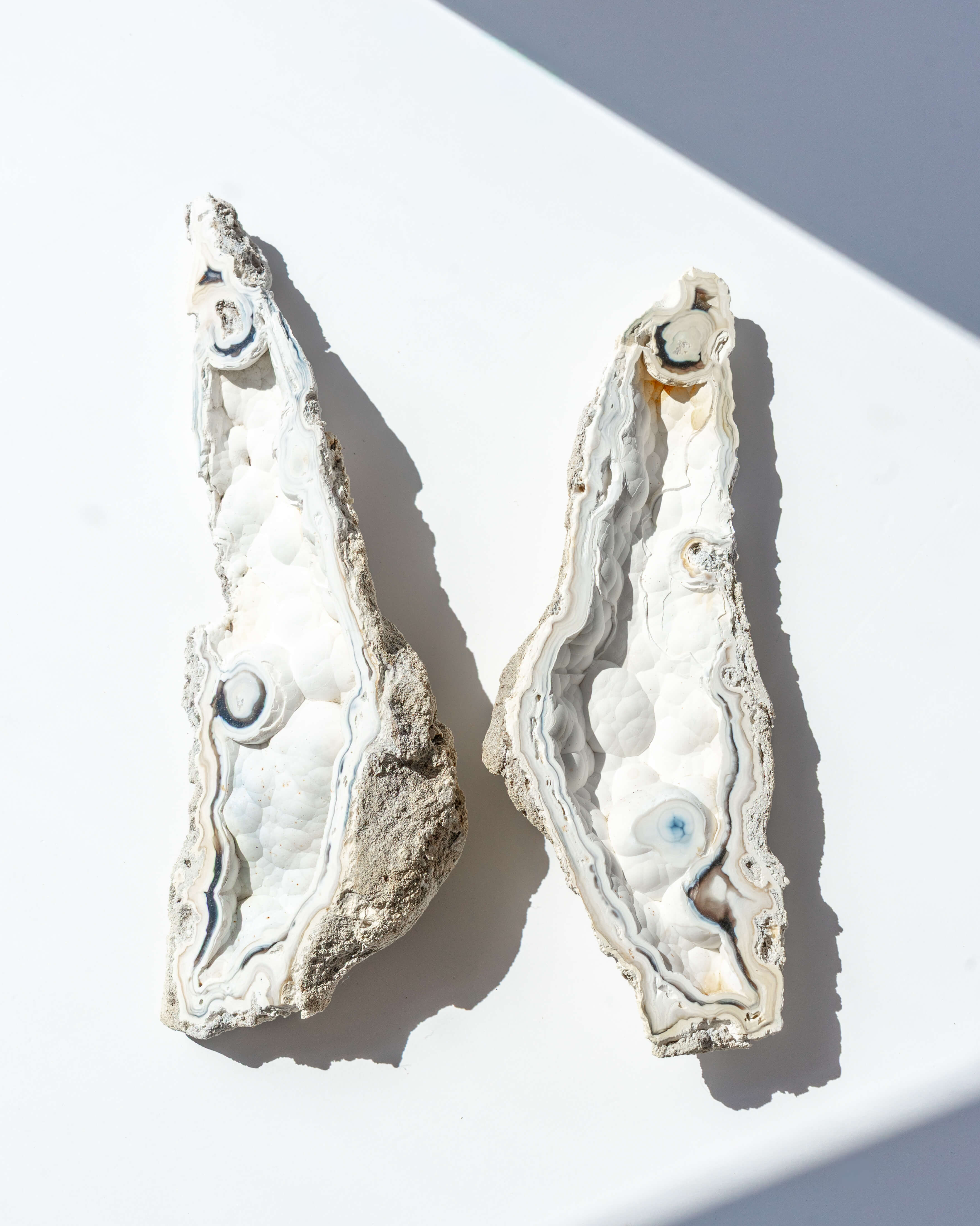 Agatized Coral Geode Pair - 129
