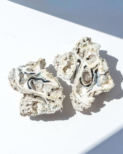 Agatized Coral Geode Pair - 152