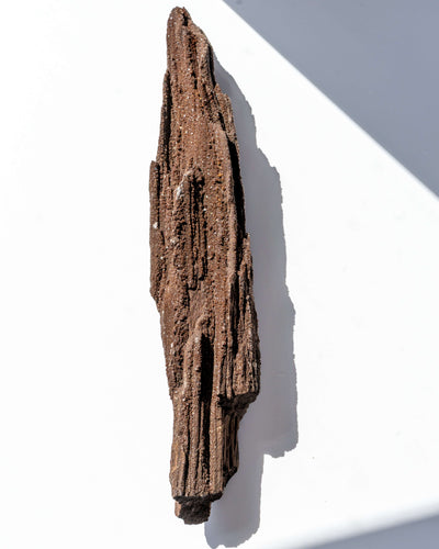 Petrified Mammoth Wood - 95