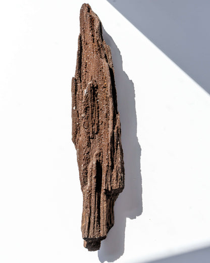 Petrified Mammoth Wood - 95