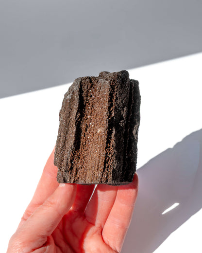 Petrified Mammoth Wood - 29A