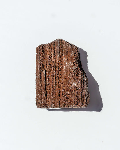 Petrified Mammoth Wood - 20
