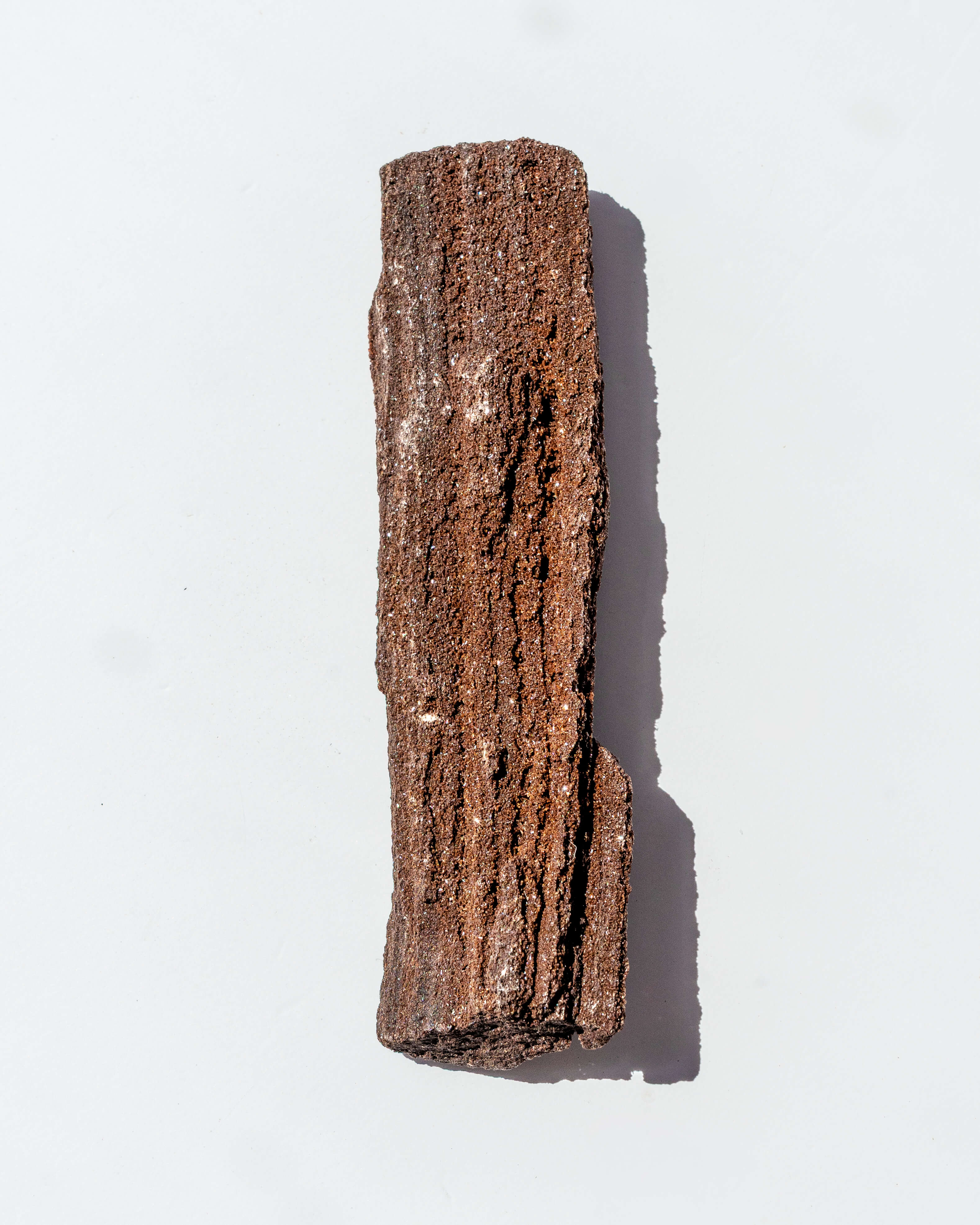 Petrified Mammoth Wood - 16A