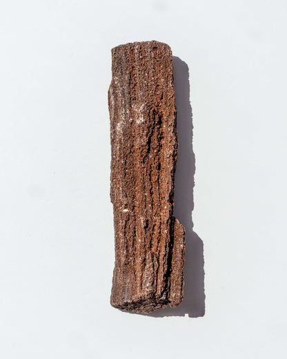 Petrified Mammoth Wood - 16A