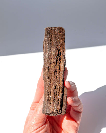 Petrified Mammoth Wood - 16A