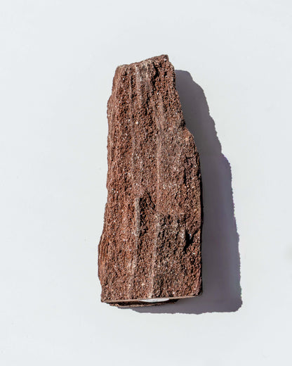Petrified Mammoth Wood - 28