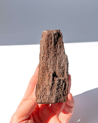 Petrified Mammoth Wood - 28