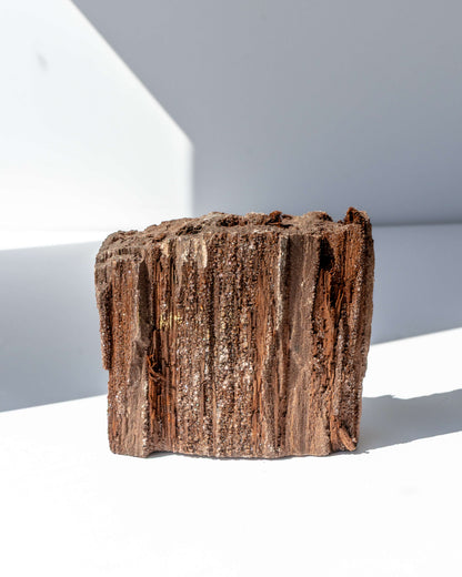 Petrified Mammoth Wood - 65