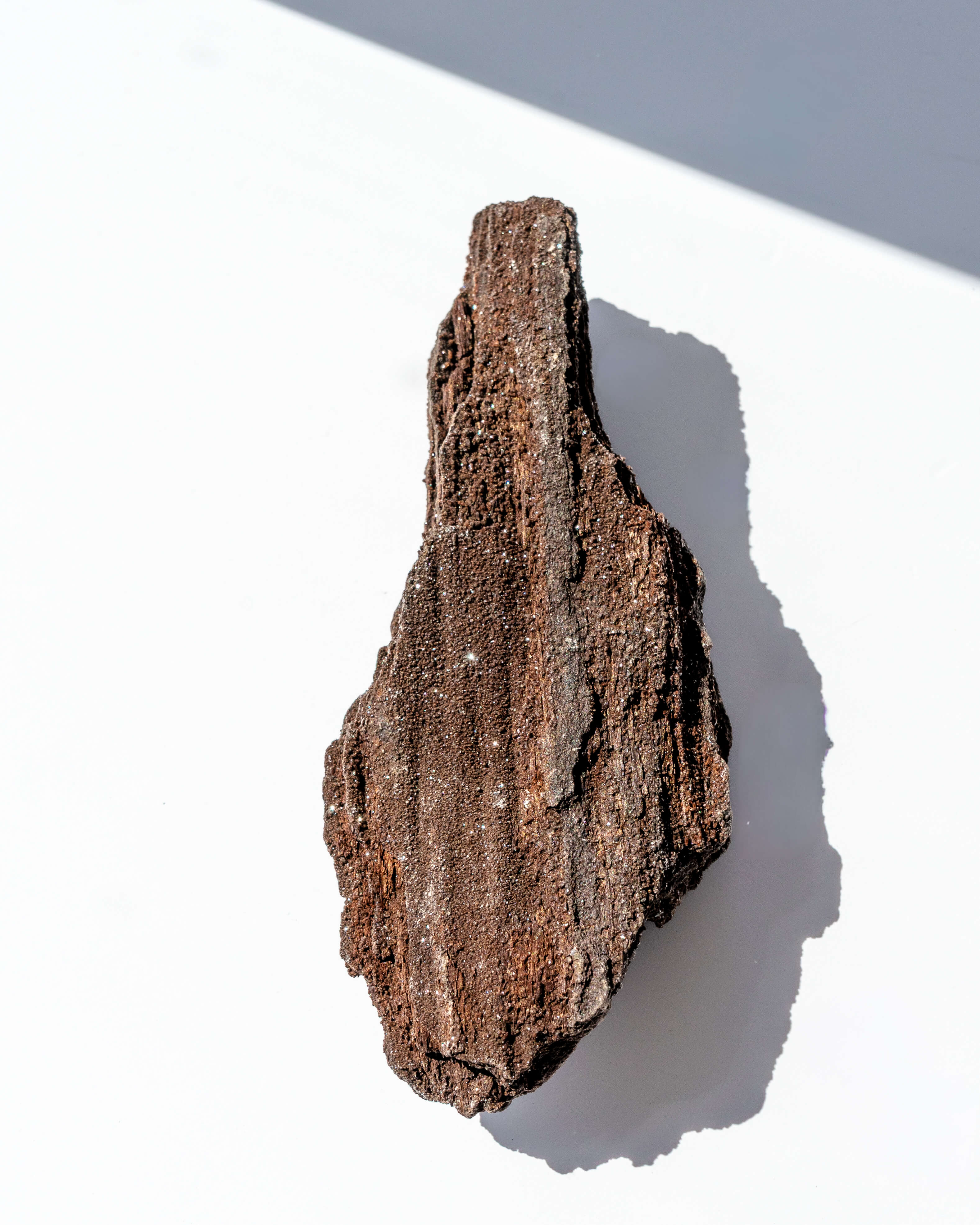 Petrified Mammoth Wood - 31