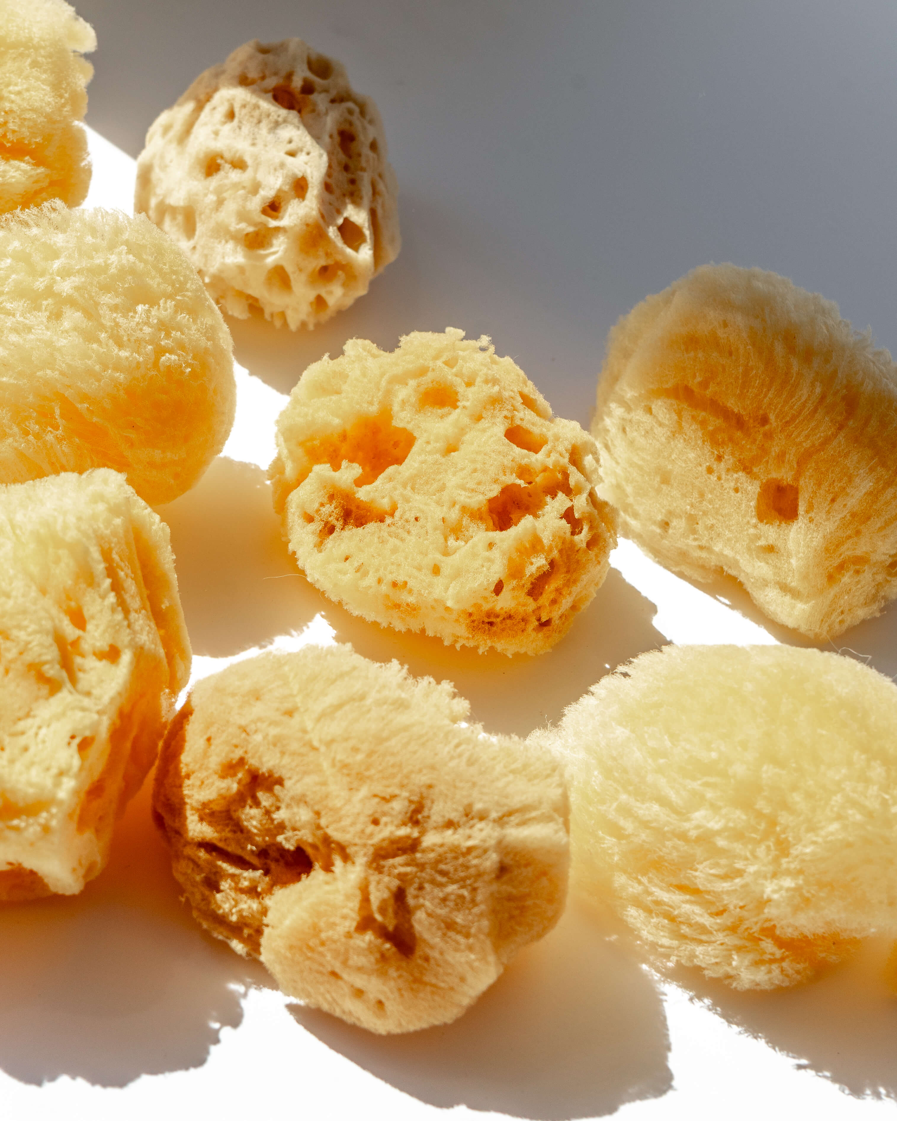 Natural Sea Sponge