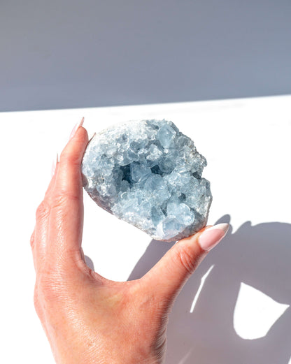 Celestite Cluster - 40F