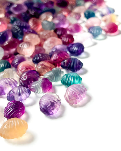 Rainbow Fluorite Mini Seashell Healing Crystal