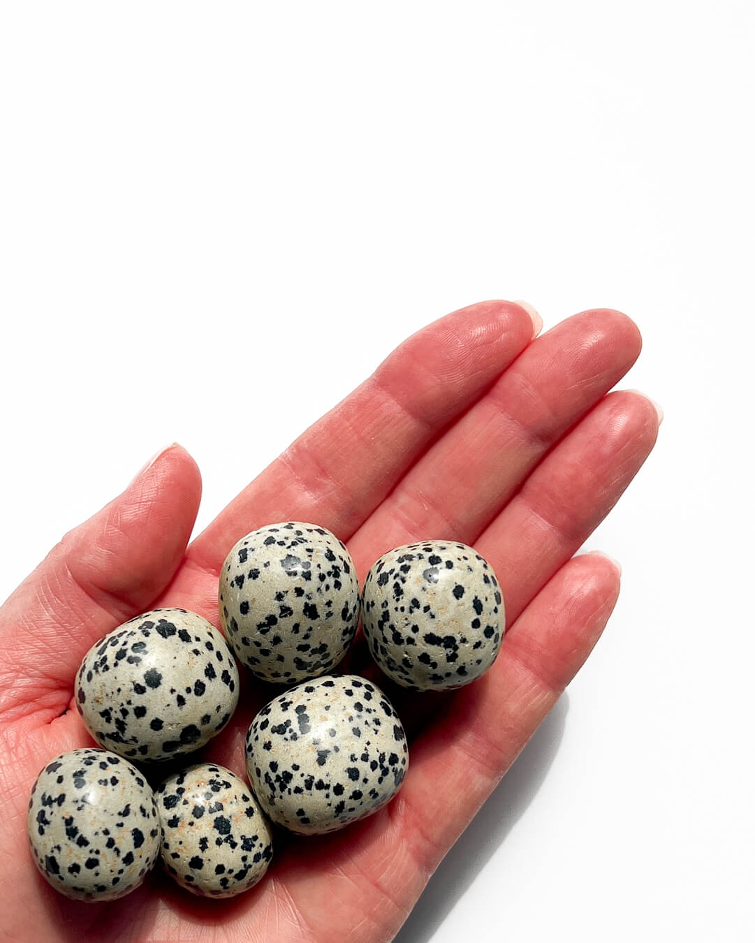 Dalmatian Jasper Tumble Stone Healing Crystal